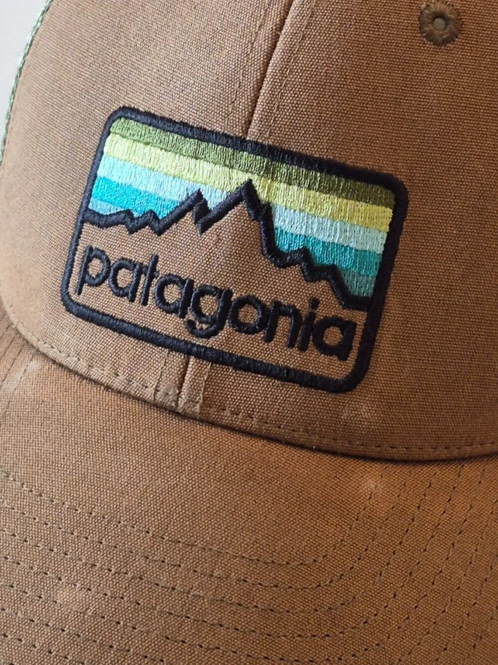 Patagonia adjustable trucker